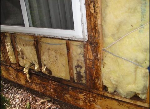 Altadena termites external-wall-damage