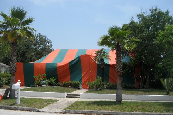 services-tent